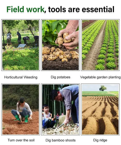 Weed Removal Tool - Your Essential Solution for Garden Weeds