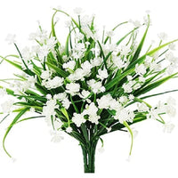 White Daffodil*5