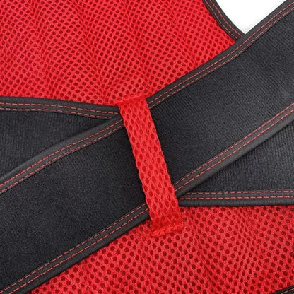 Ergonomic Back Support Posture Enhancer