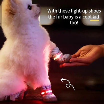 BrightPaw Light-Up Dog Booties - Set of 4 with Non-Slip Sole