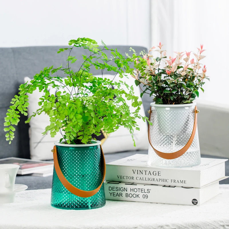 Hydroponic Plant Pot – Keep Your Houseplants Hydrated All Day Effortlessly
