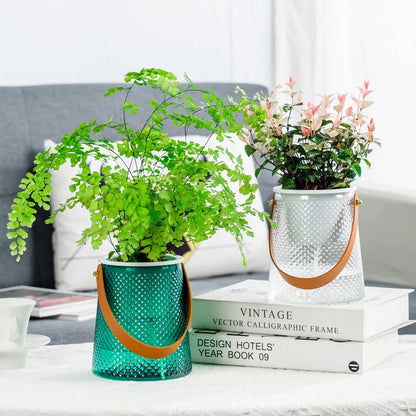 Hydroponic Plant Pot – Keep Your Houseplants Hydrated All Day Effortlessly