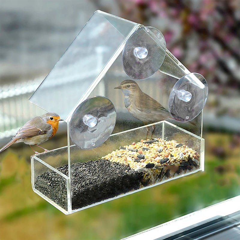 Window Bird Feeder with 3 Suction Cups | Clear Acrylic for Birdwatching | Open Design | Easy to Fill & Clean