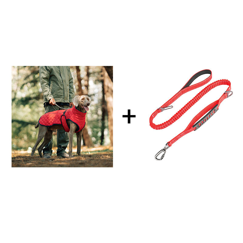 Keep Your Dog Warm and Visible During Every Walk