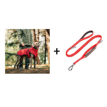 Keep Your Dog Warm and Visible During Every Walk