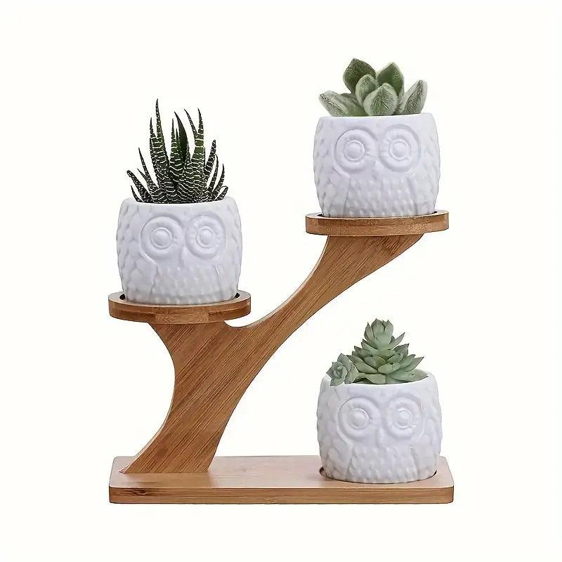 Stylish and Instant Plant Organization and Display with Eco Bamboo