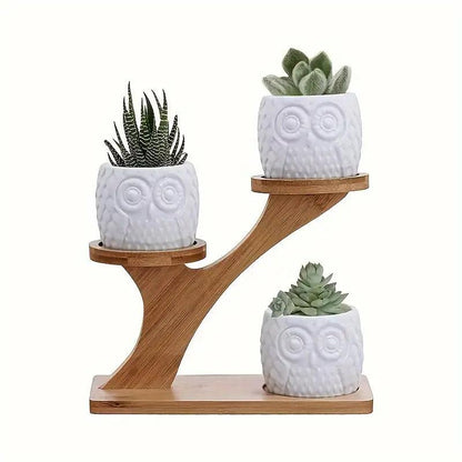 Stylish and Instant Plant Organization and Display with Eco Bamboo