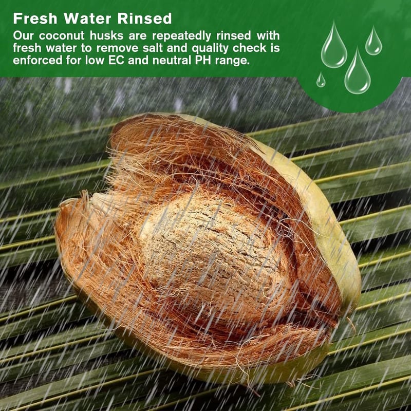 Eco-Friendly Coconut Fiber Growth Medium for Plants