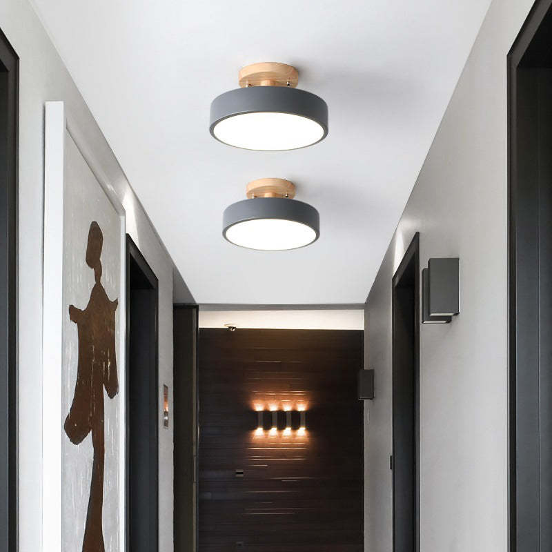 Contemporary LED Ceiling Light Fixture