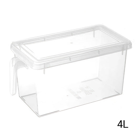 Clear Food Storage Container with Lid