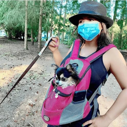 Comfortable Canine Carrier Backpack for Adventures
