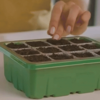 Indoor Seedling Greenhouse with LED Growth Light