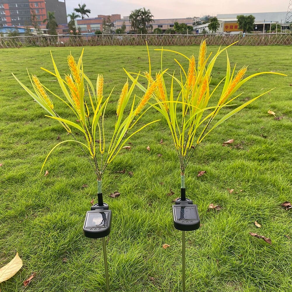 Set of 2 Solar-Powered Wheat Stem Lights for Outdoor Use