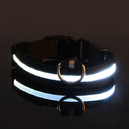 IlluminatePet Safety Collar for Nighttime Adventures