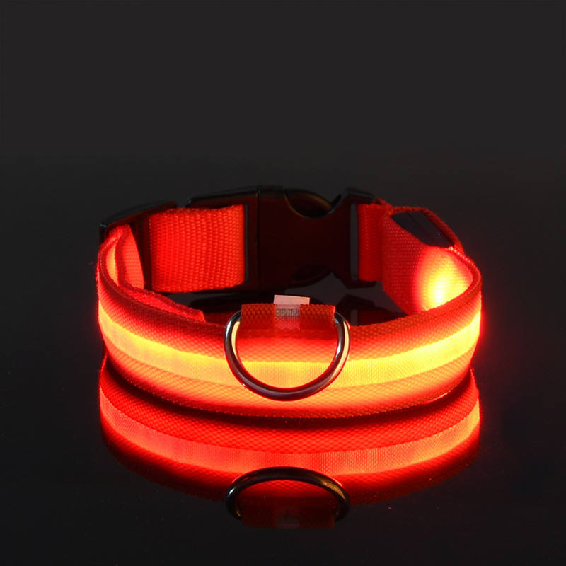 IlluminatePet Safety Collar for Nighttime Adventures
