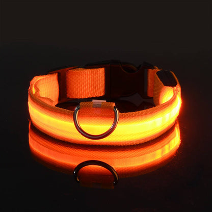IlluminatePet Safety Collar for Nighttime Adventures