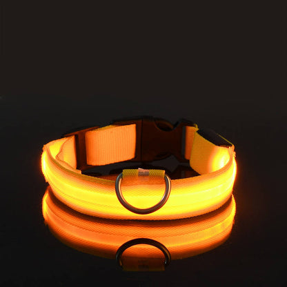 IlluminatePet Safety Collar for Nighttime Adventures