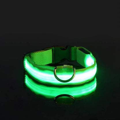IlluminatePet Safety Collar for Nighttime Adventures