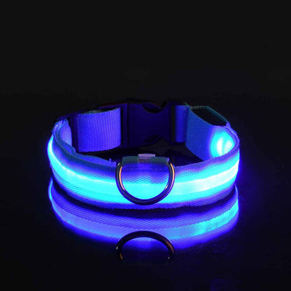 IlluminatePet Safety Collar for Nighttime Adventures