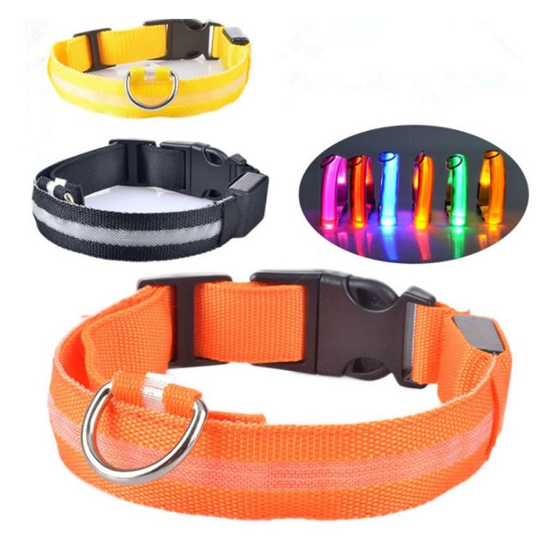 IlluminatePet Safety Collar for Nighttime Adventures