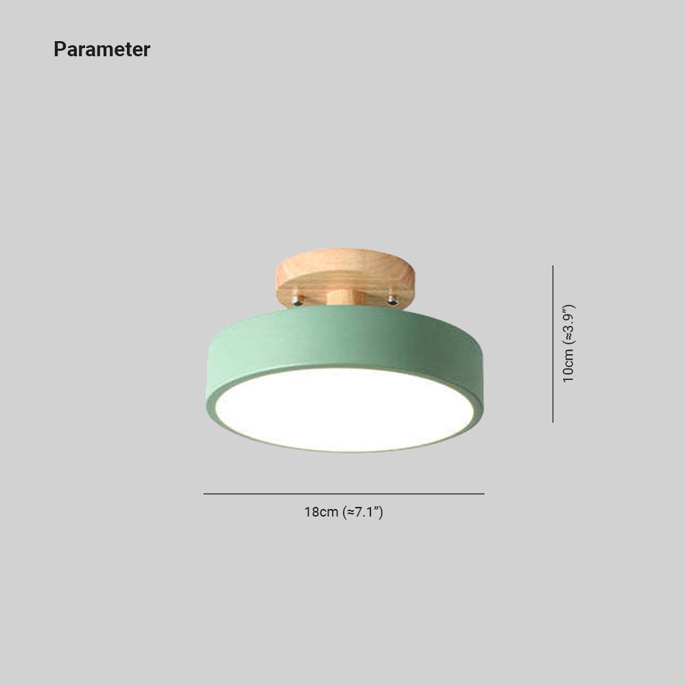 Contemporary LED Ceiling Light Fixture