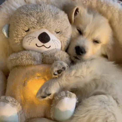 Comforting Cuddle Companion for Pets