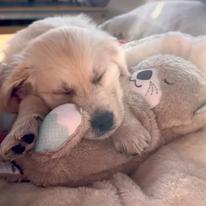 Comforting Cuddle Companion for Pets