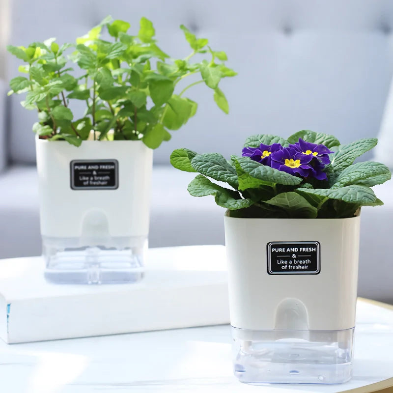 Grow Plants Easily Without Daily Watering Issues