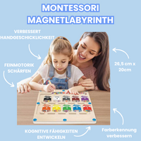 Montessori Magnetic Maze