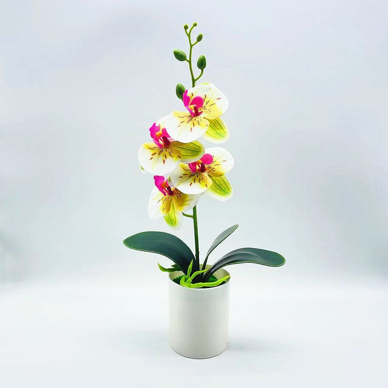 Effortless Elegance with Realistic, Low-Maintenance Orchids