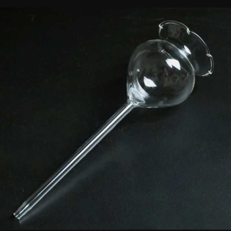 Automatic Self-Watering Plant Globes | Set of 2 Handmade Glass
