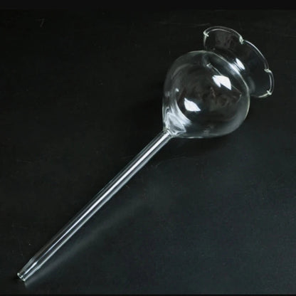 Automatic Self-Watering Plant Globes | Set of 2 Handmade Glass