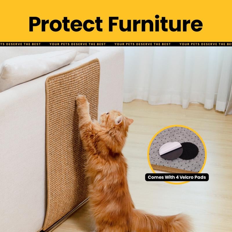 Natural Nail Care for Pets – Protect Your Furniture!