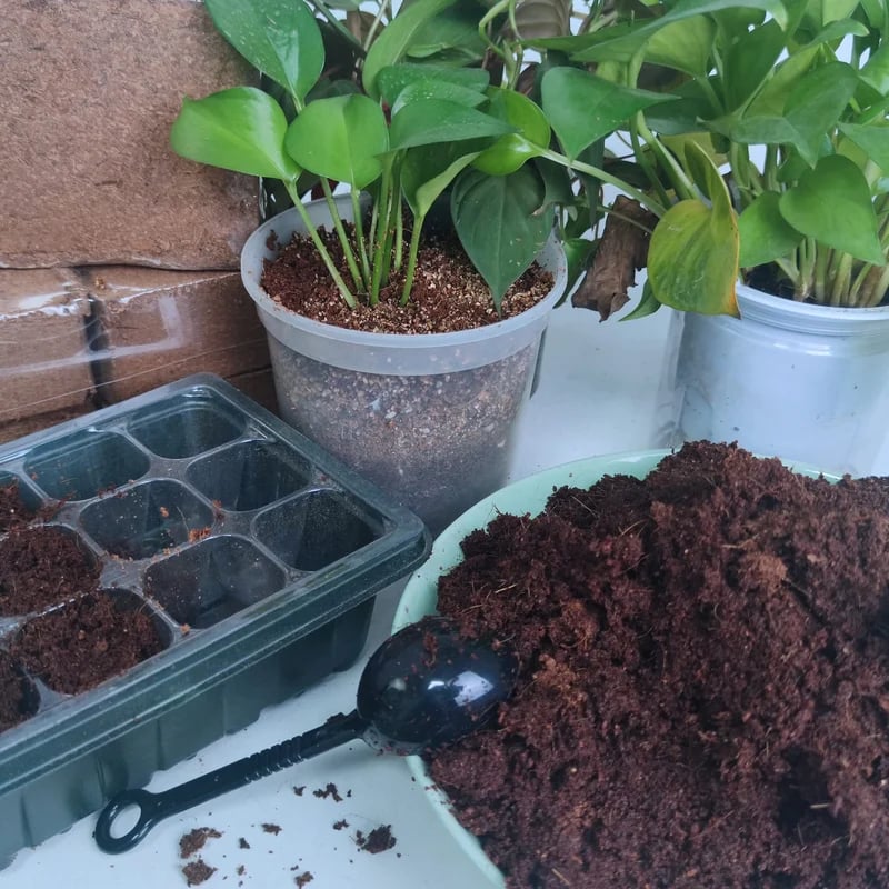 Eco-Friendly Coconut Fiber Growth Medium for Plants