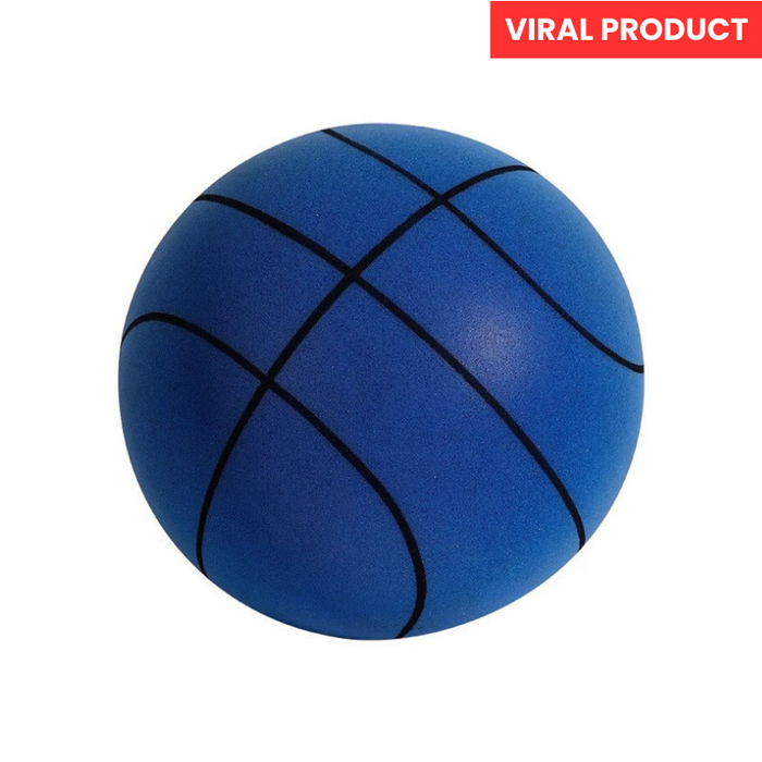 Indoor and Outdoor Basketball - Play Silently with Ease