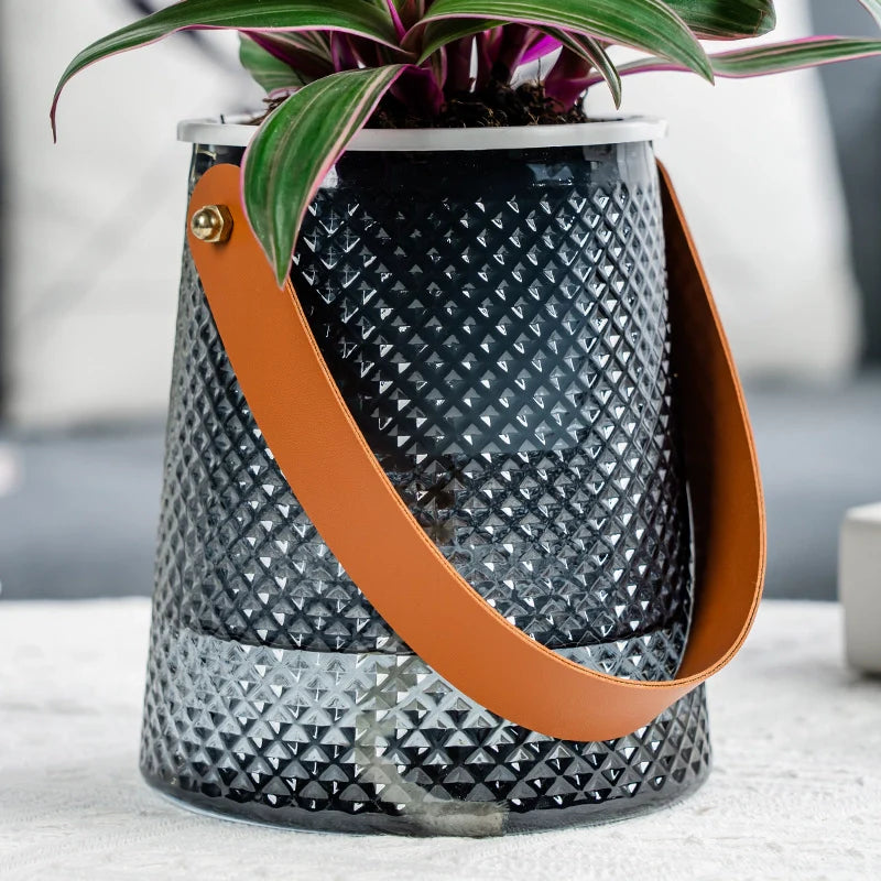 Hydroponic Plant Pot – Keep Your Houseplants Hydrated All Day Effortlessly