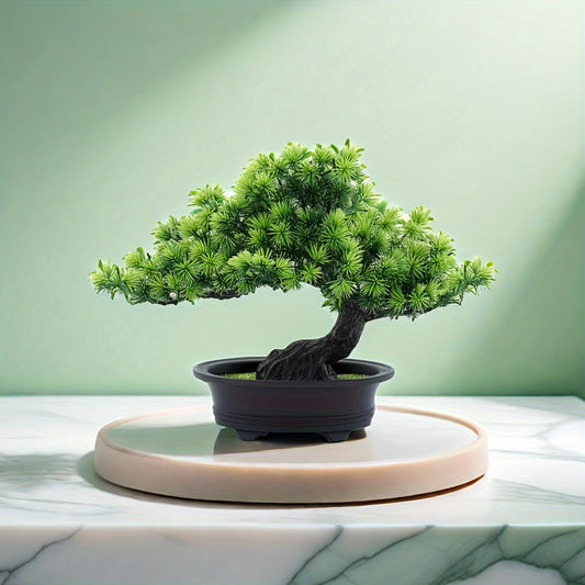 Bonsai Tree 24 cm | Evergreen and Low-Maintenance | Includes Black Pot