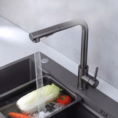 Modern Stainless Steel Pull-Out Kitchen Faucet
