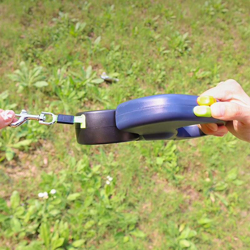 Tangle-Free Control for Safe Night Walks with Your Dog