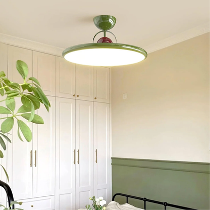Modern Low Profile Ceiling Fixture - Elegant Flush Mount Light