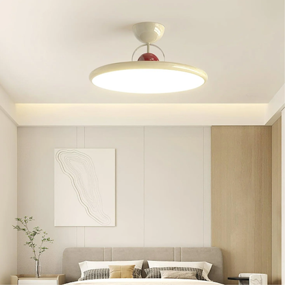 Modern Low Profile Ceiling Fixture - Elegant Flush Mount Light
