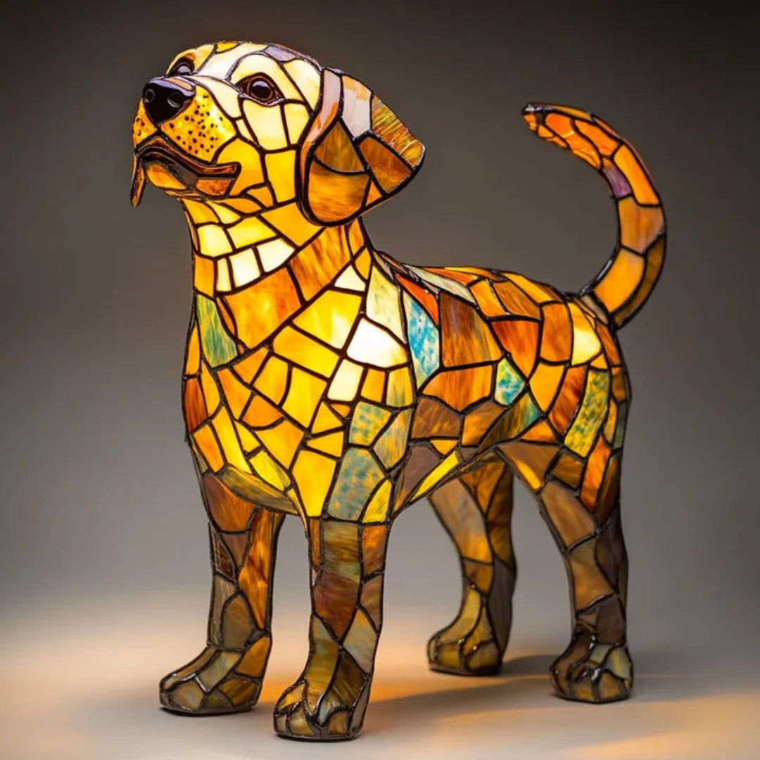 Colorful LED Light for Dogs