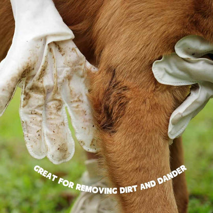 Daily Care Gloves for Gentle Pet Wipes