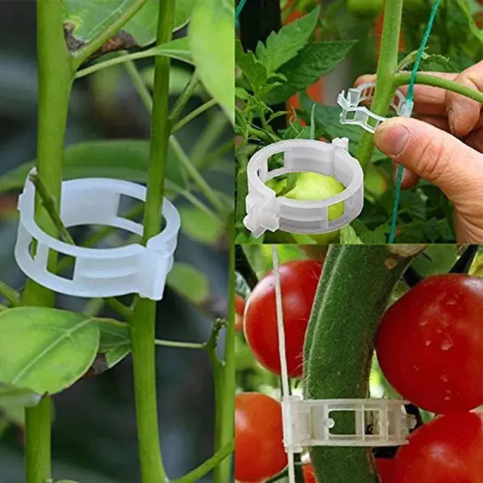 Garden Support Clips – Secure Stems Without Damage | 1-Inch Diameter, Open for Airflow | Reusable