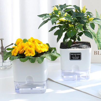 Grow Plants Easily Without Daily Watering Issues