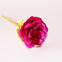 Only Flower 02
