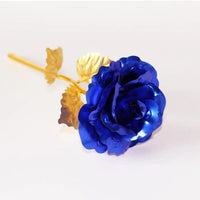 Only Flower 04