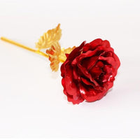 Only Flower 05