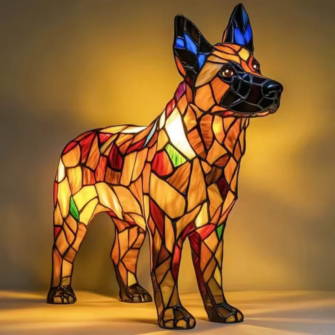 Colorful LED Light for Dogs