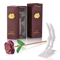 Light lilac pink rose